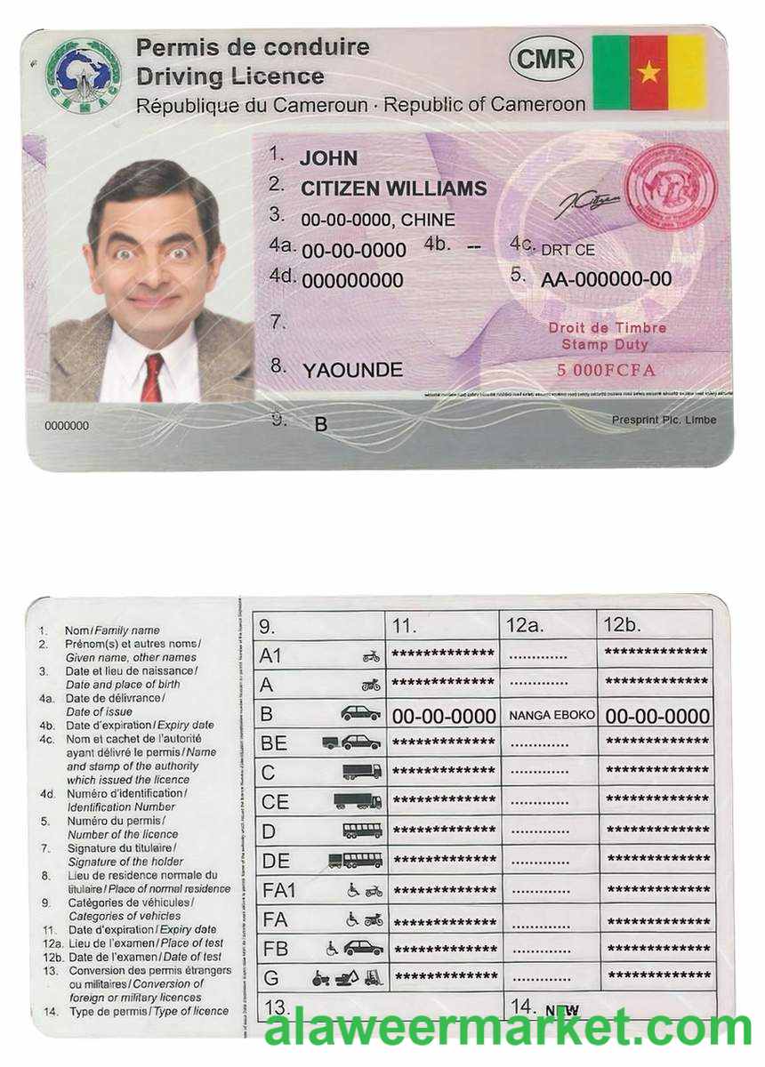 Cameroon driving license